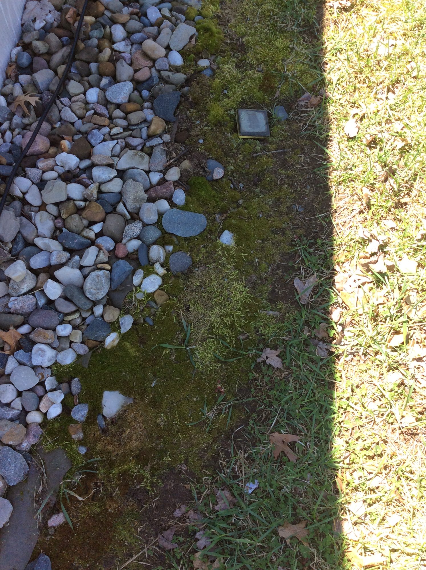 A27447AC-B0F9-425C-9C76-6AE0E580484E.jpeg