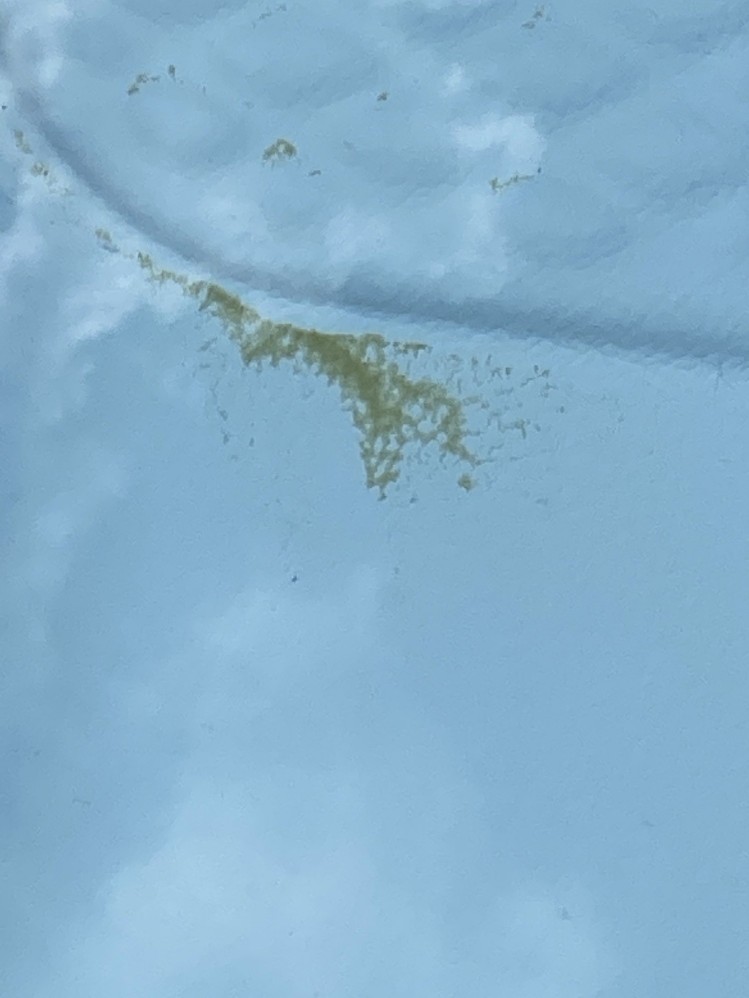 A280369E-2FE6-48D0-AD54-340C05F6F1B8.jpeg