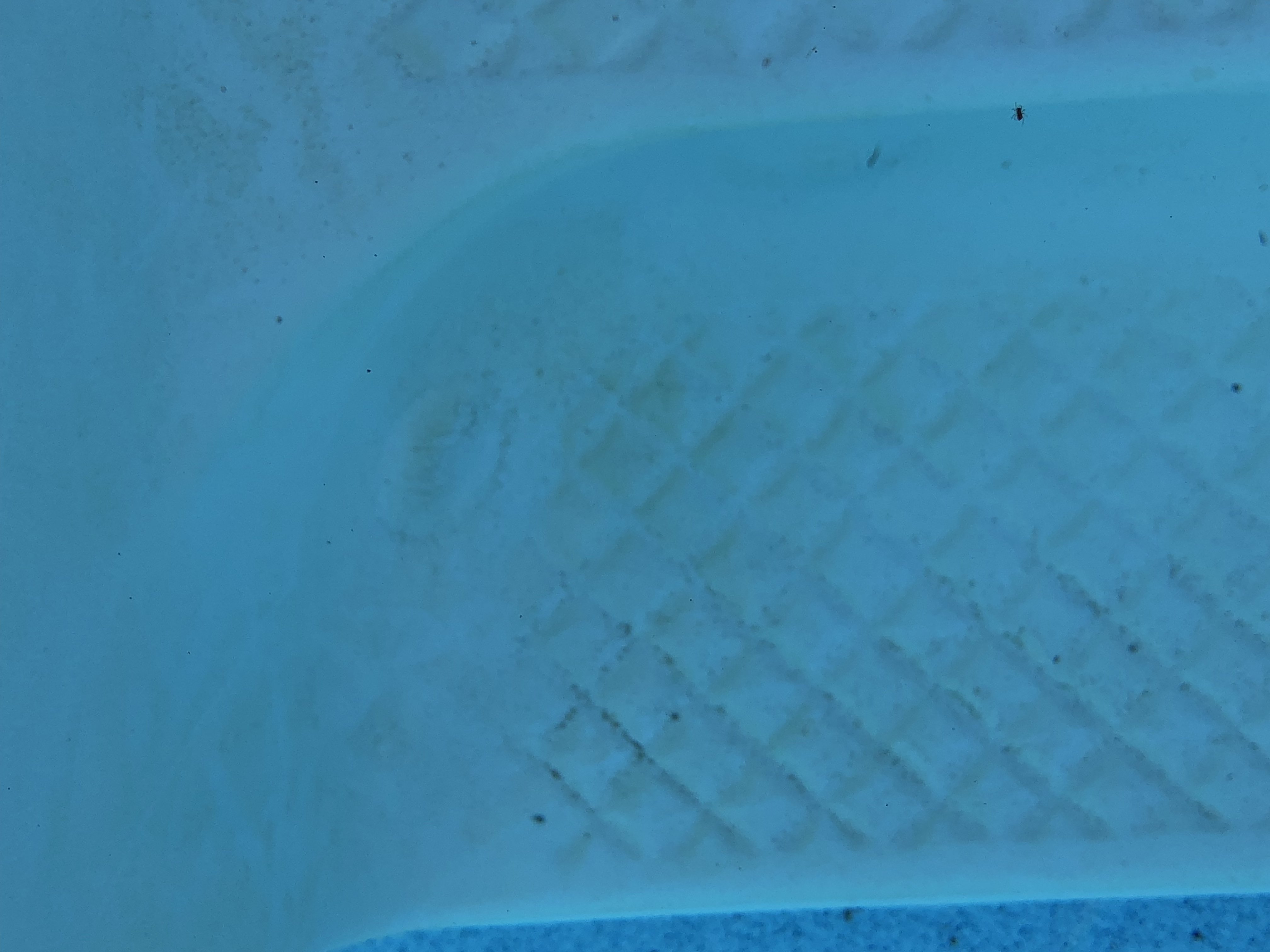 A3446A10-3B64-4F39-867F-D7D57CEECFD3.jpeg