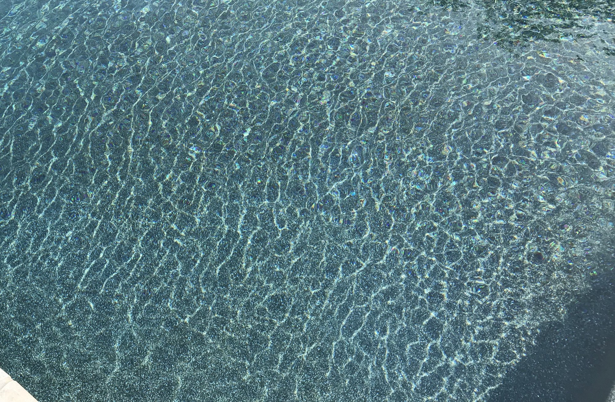 A384EEC0-39B3-47FD-BDB0-BA78CF28C7FC.jpeg