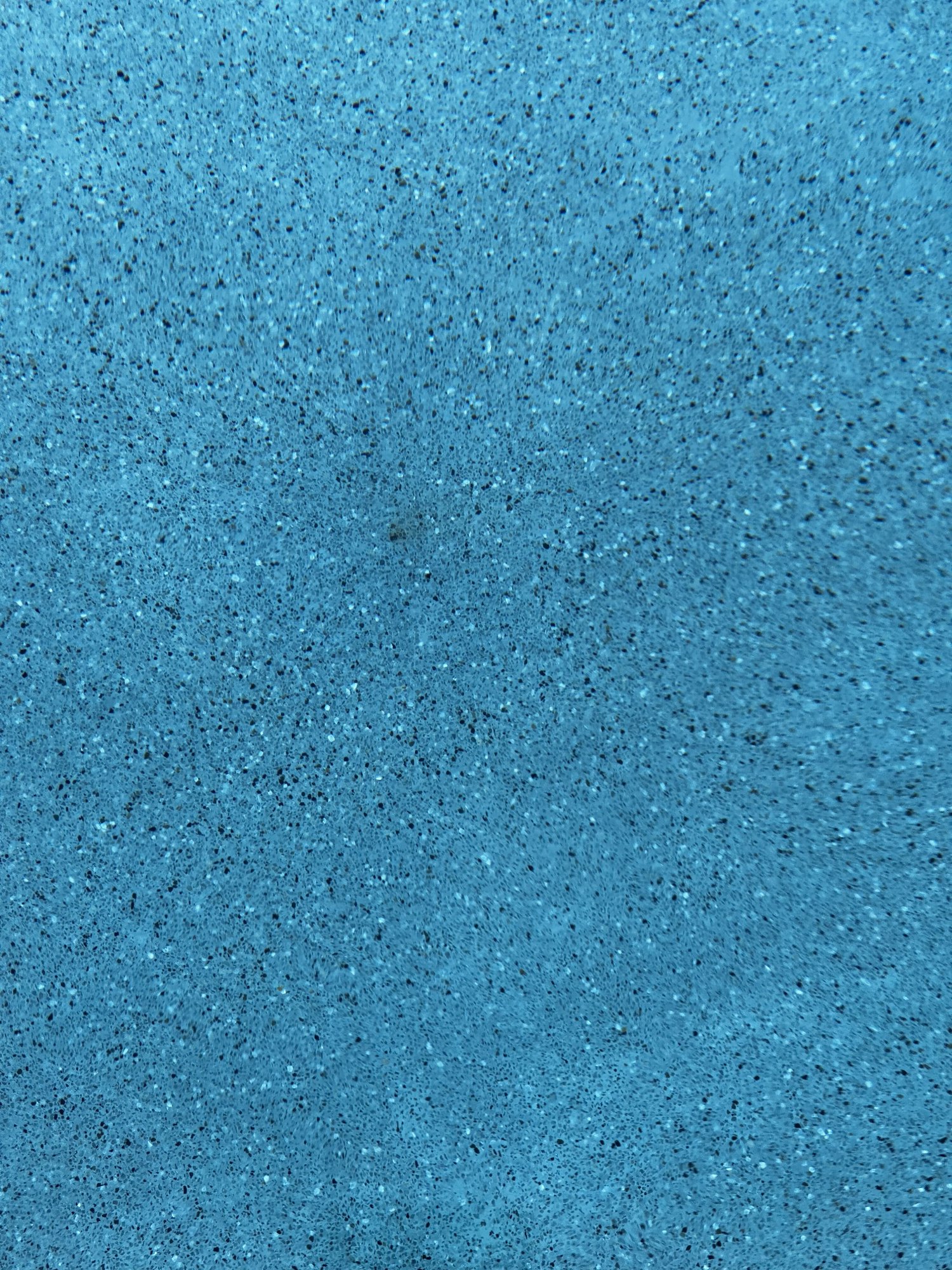 A444EDFC-BF46-409C-B213-6349AA7676D4.jpeg