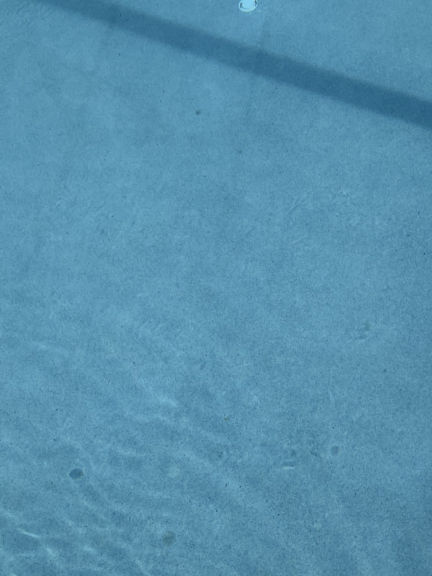 A6C117DF-E698-4FA0-B97D-F1AECCD531E5.jpeg
