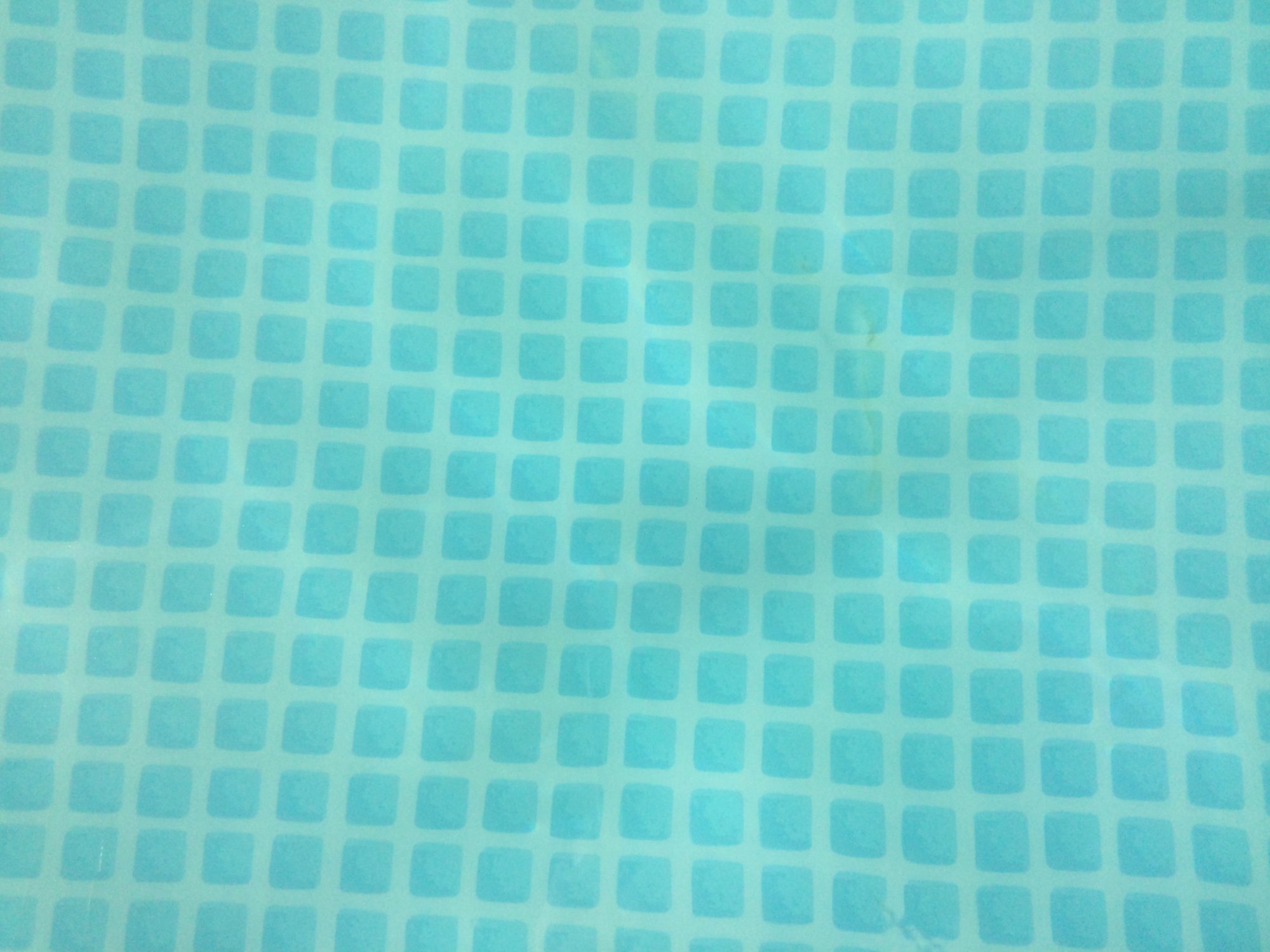 A7738D1D-D9D8-4A07-86C9-05260429D72F.jpeg