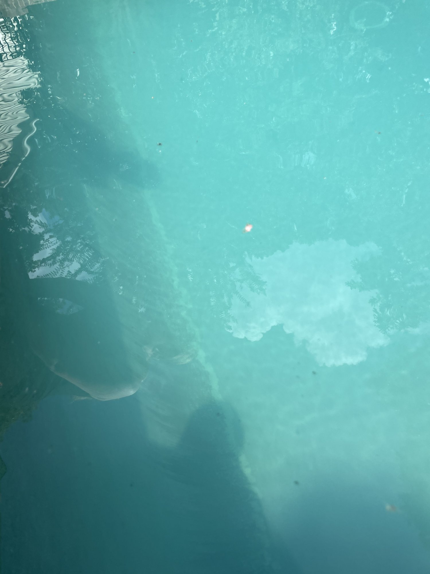 A8456139-9642-4140-B1AD-74FA5C92DC89.jpeg