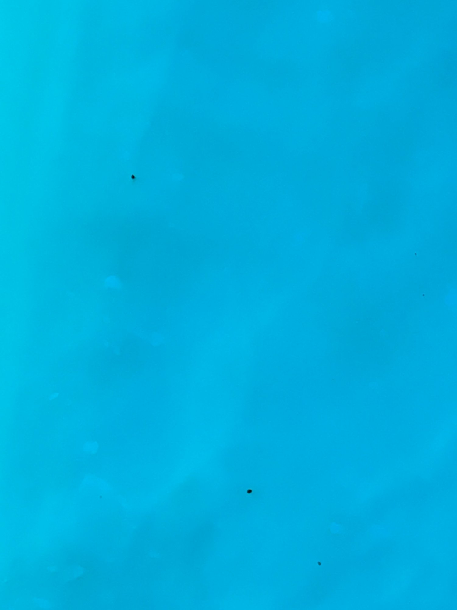 A8EF7EE8-F819-45E2-98B5-40A033DFFB58.jpeg