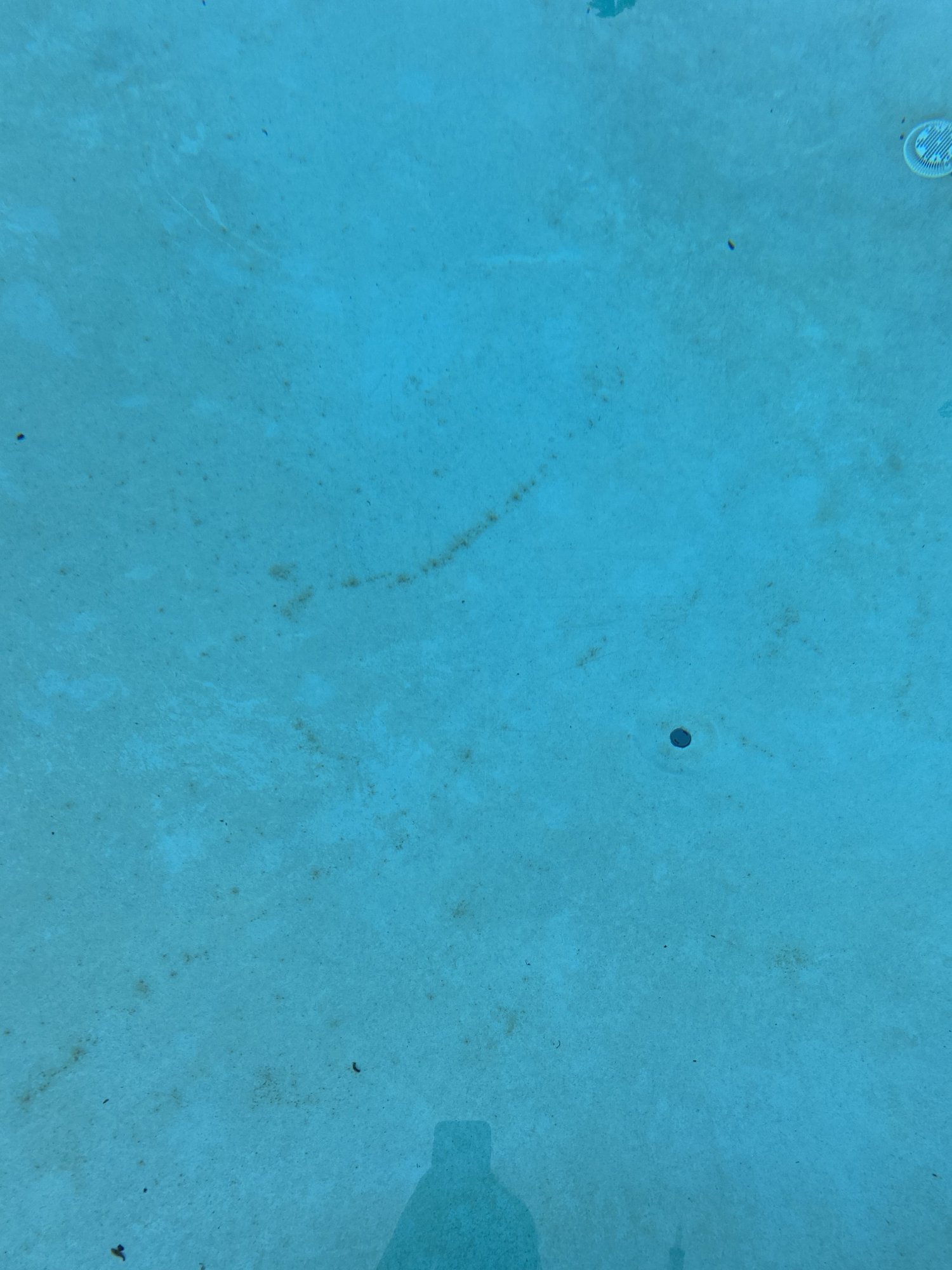 A9AD02F4-1E1B-4313-8ED5-3AD001550922.jpeg