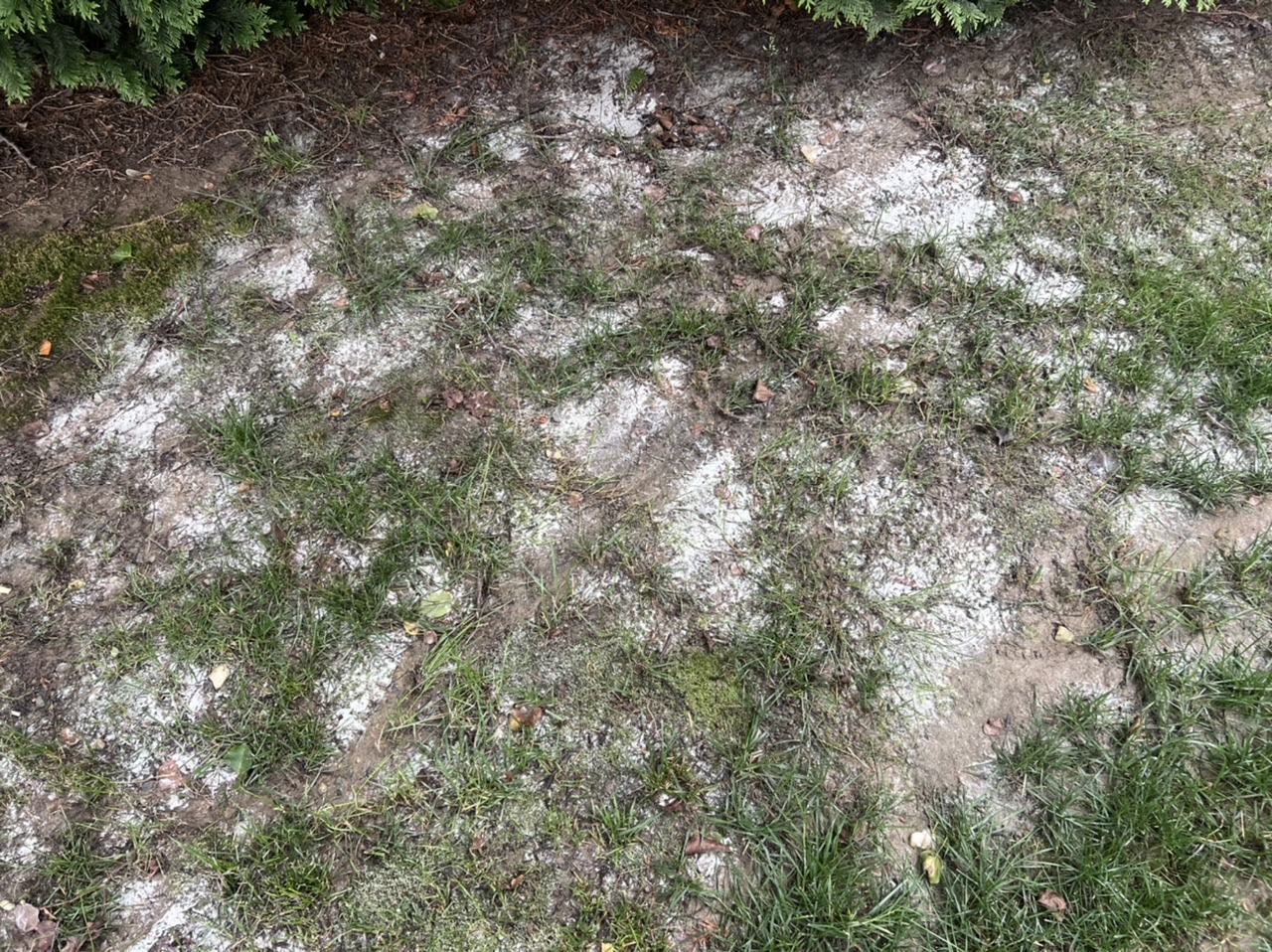 AA110509-A2D7-4518-94A0-DFBB37E9FA73.jpeg