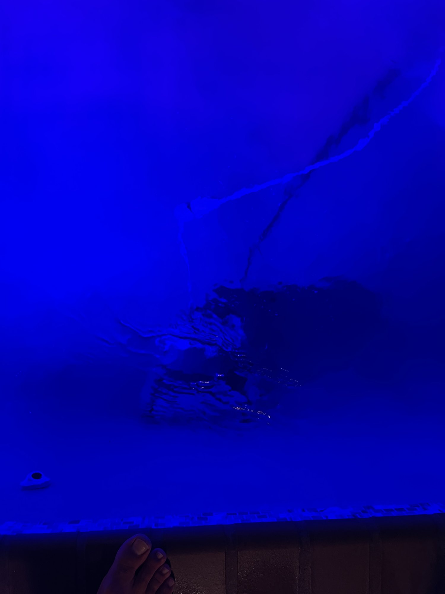 AB50E6C2-4786-4986-B022-E24AF1B345C3.jpeg