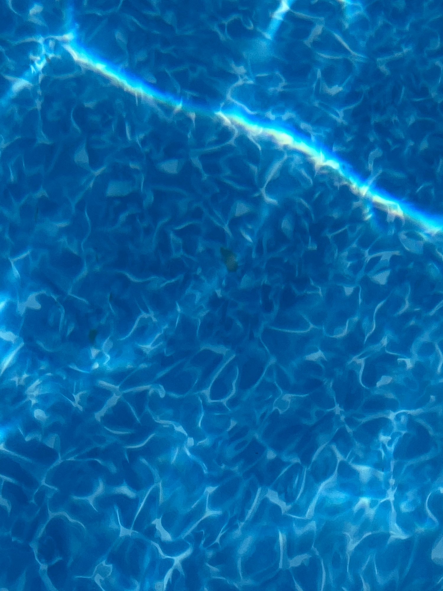 AB519451-4D42-4FF4-A7CF-28E058A6E854.jpeg