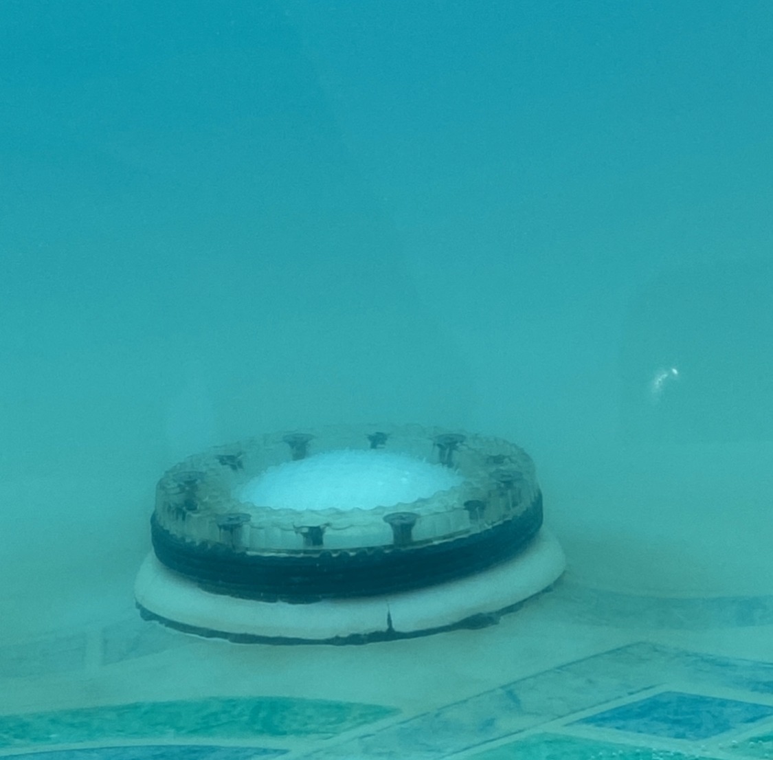 AB5B60ED-257B-4D0C-AADB-05B03AABE902.jpeg