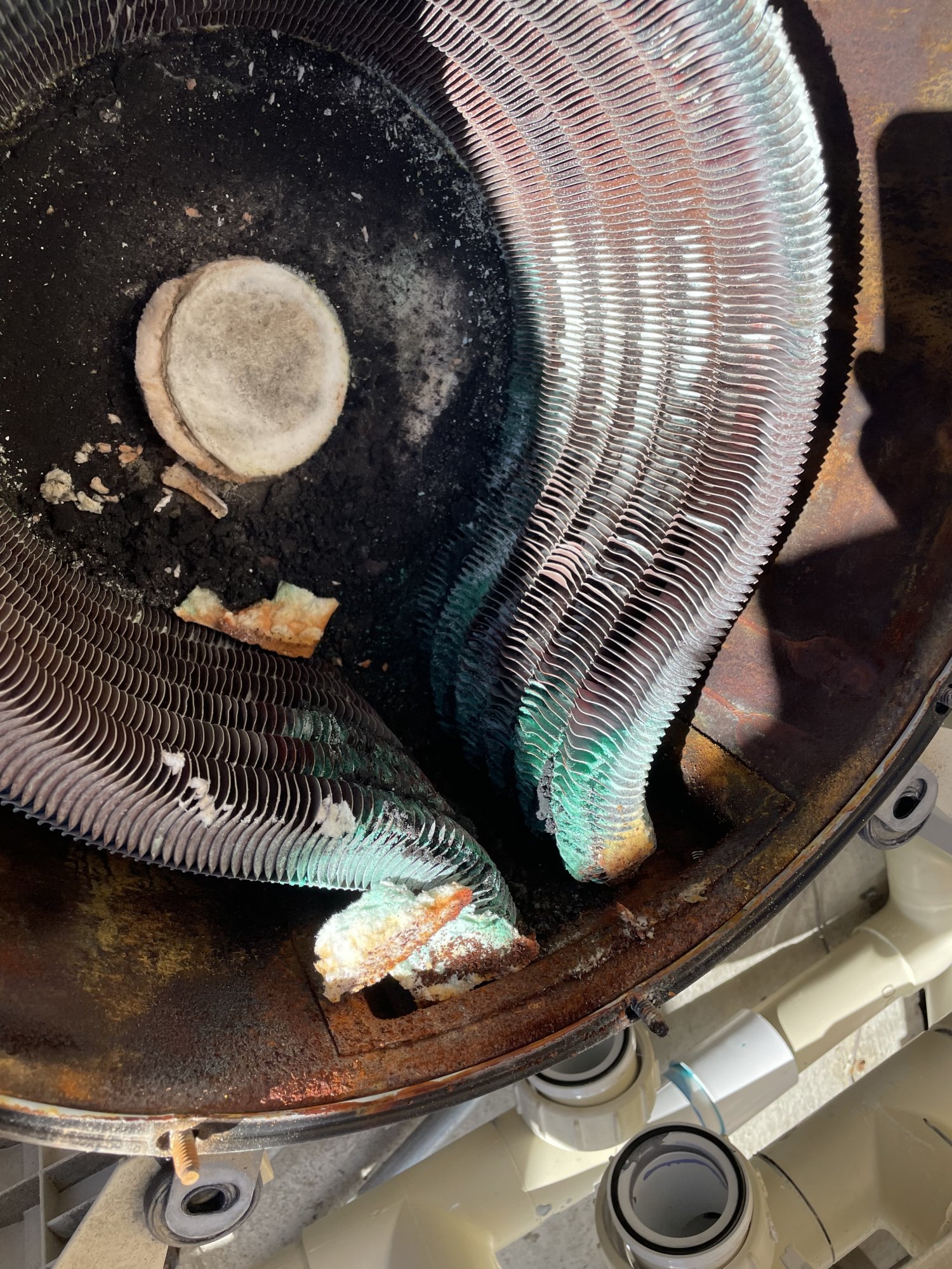 ABBCC38F-8B11-42C2-A65C-7DD8C9391A62.jpeg