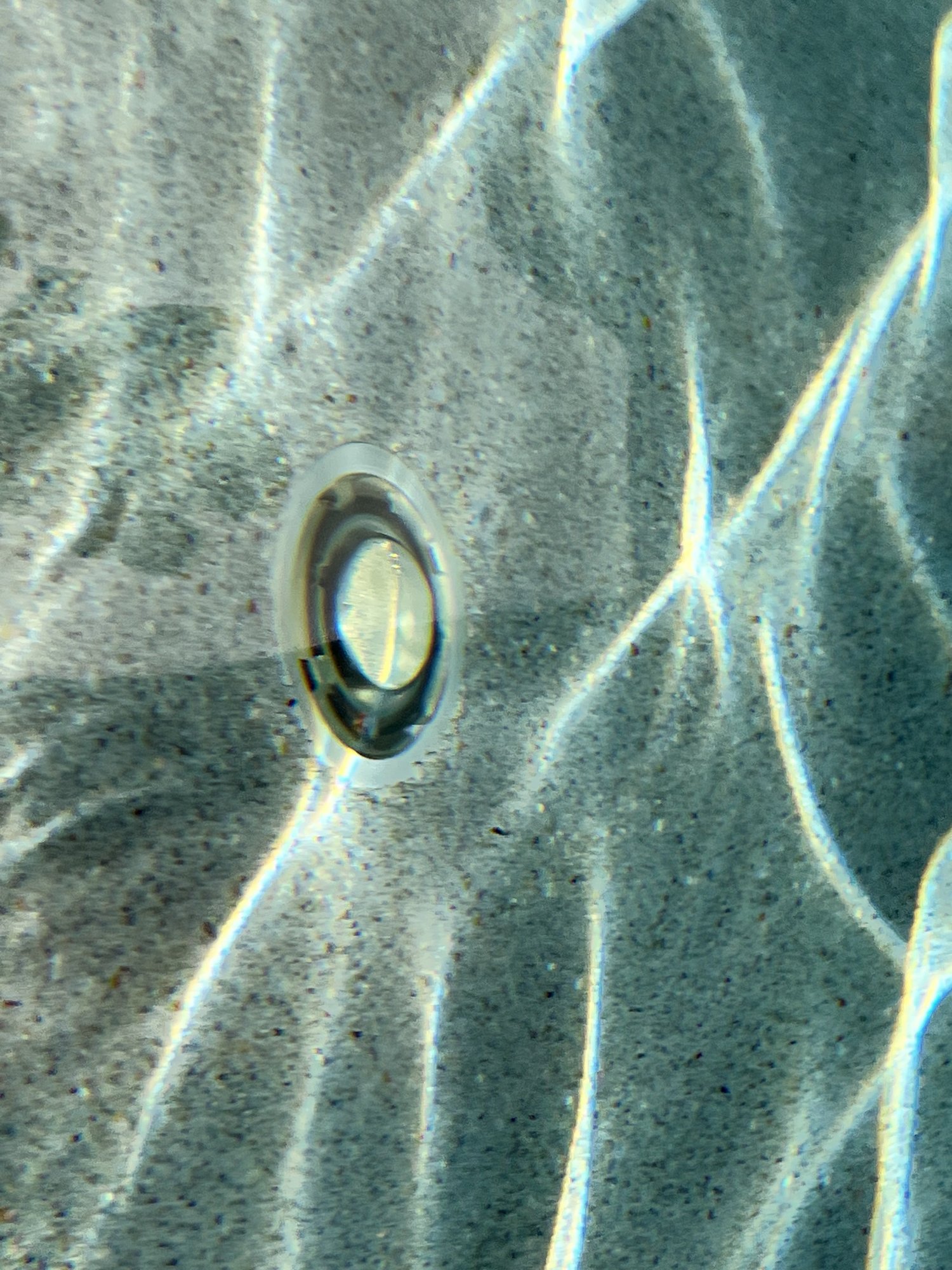 ABF745E3-C75D-4BD2-8F27-6C0233E390B7.jpeg
