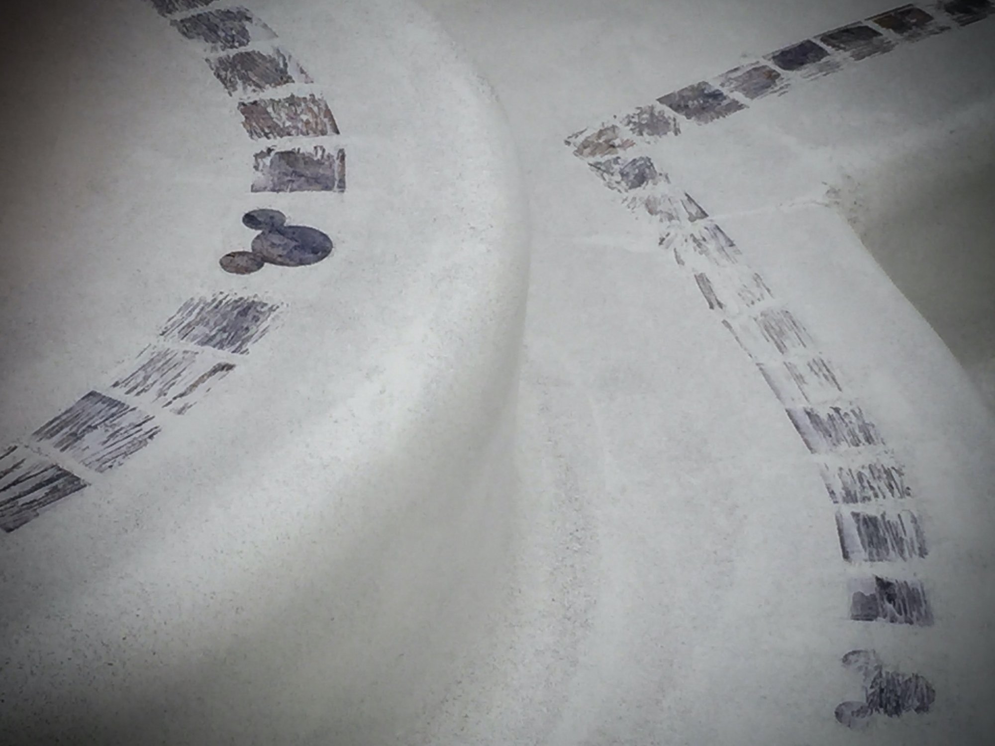 ADCA6029-32C9-4829-A75A-6ED9E0A3BA76.jpeg
