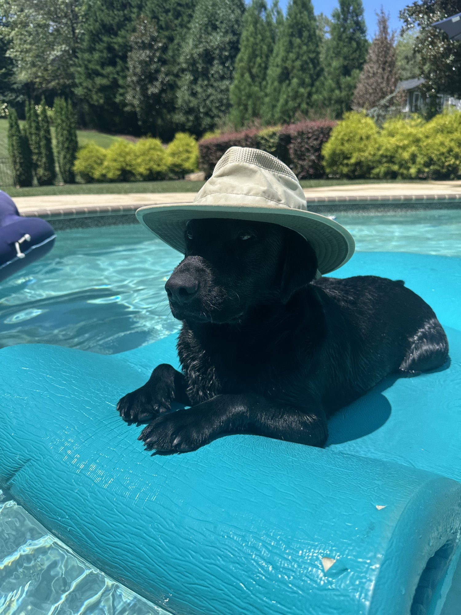 AF7254D4-F077-4DF8-A08D-2C70A7AF0C56.jpeg