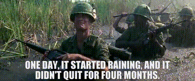 afc7e1a5-943f-4e8e-8052-a99d44487572_text.gif