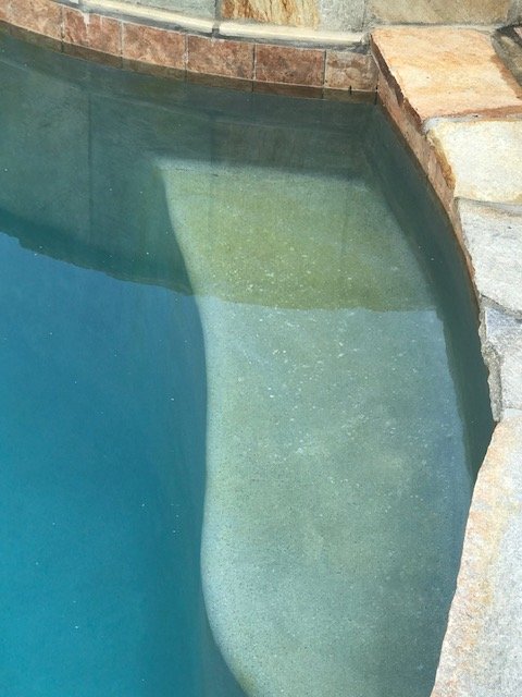 Algae_4.jpg
