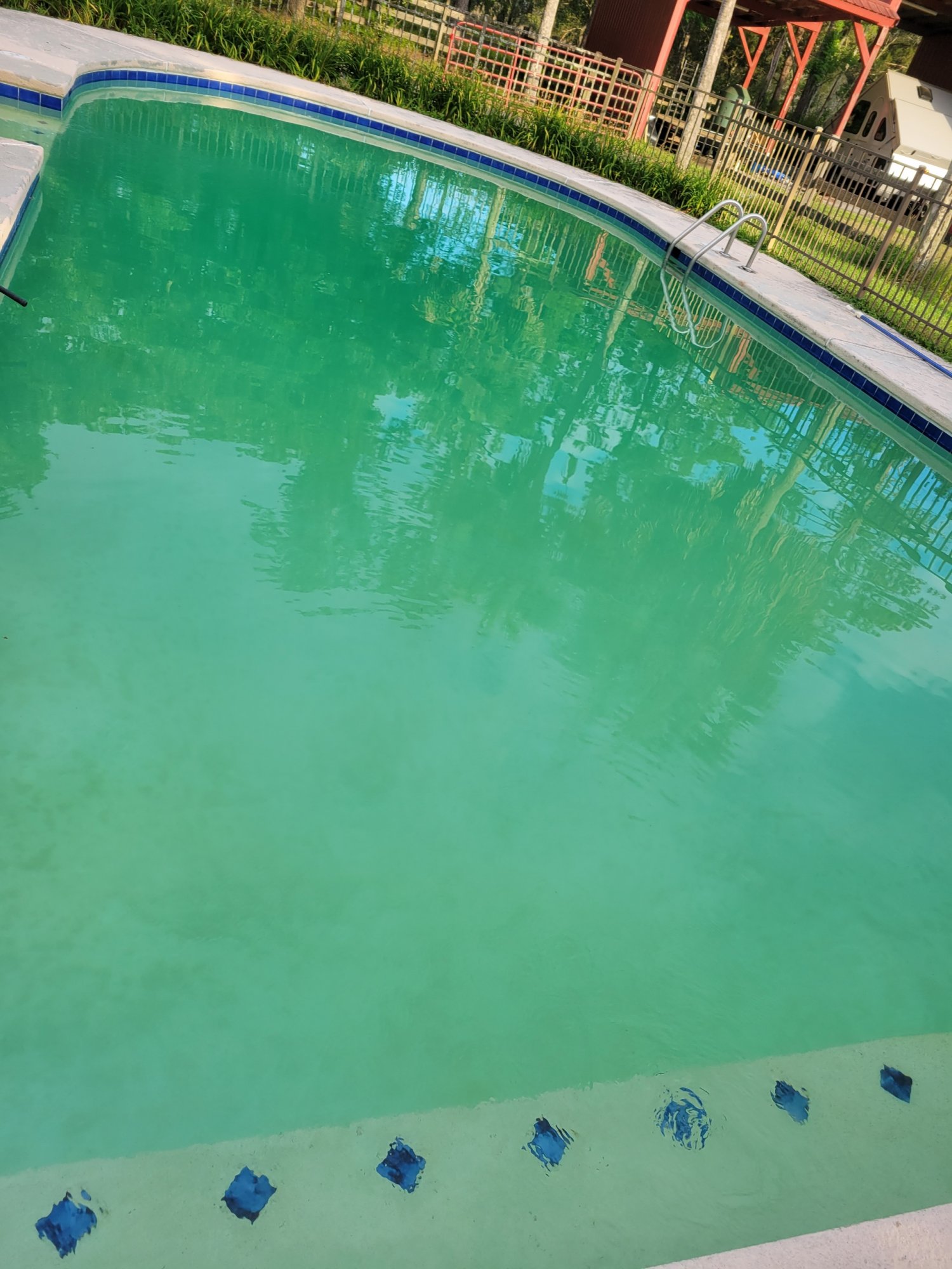 Algae_Pool.jpeg