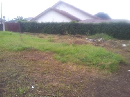 Almost empty Lot.jpg