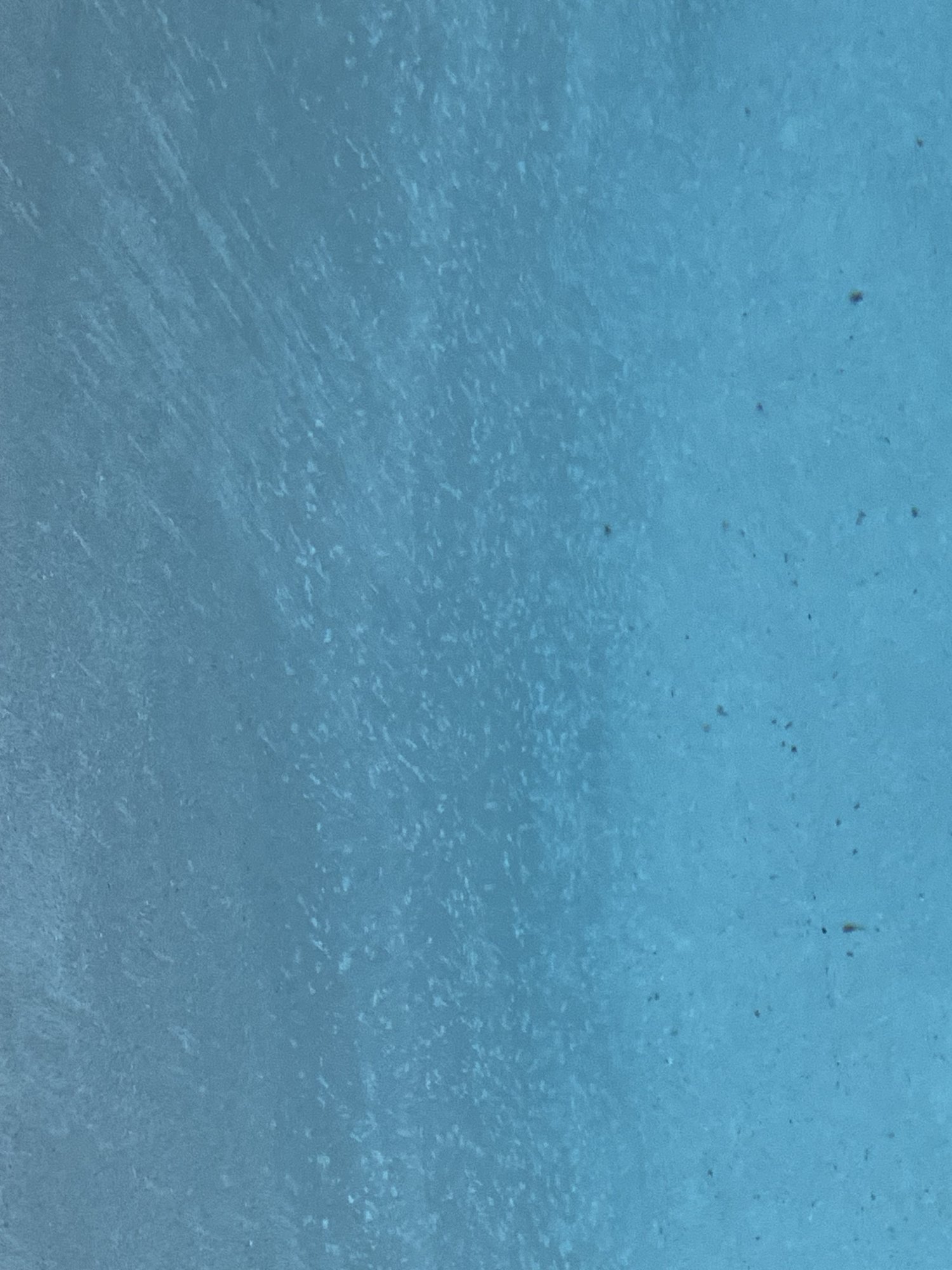 April_2024.jpeg