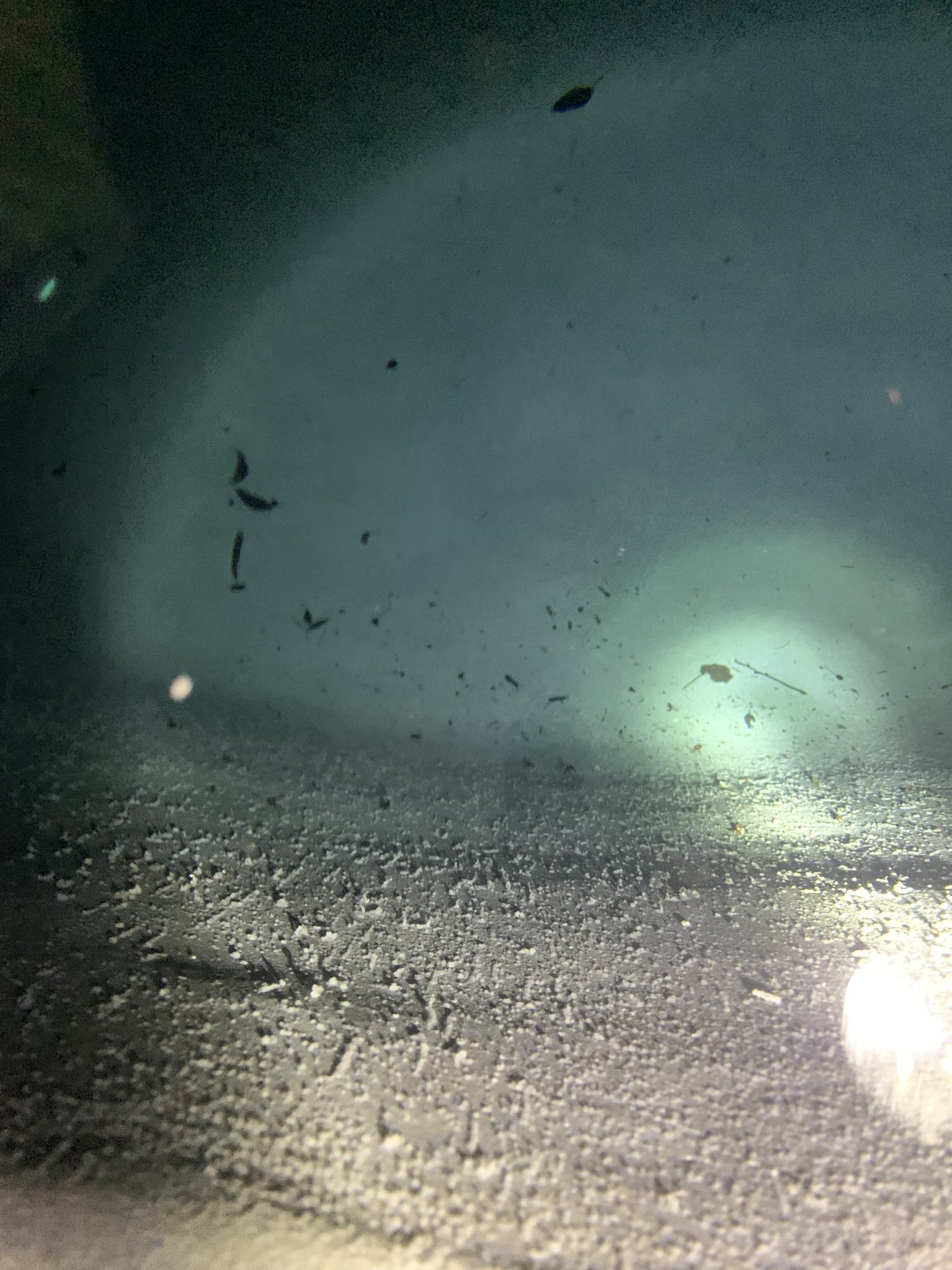 April_2024_3.jpeg