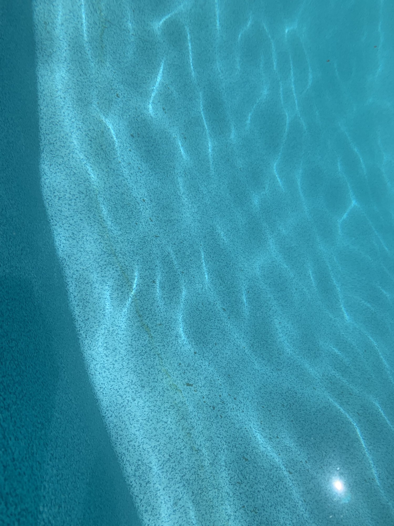 B081A2AF-CB84-4B54-850C-F12FD8B67F0D.jpeg