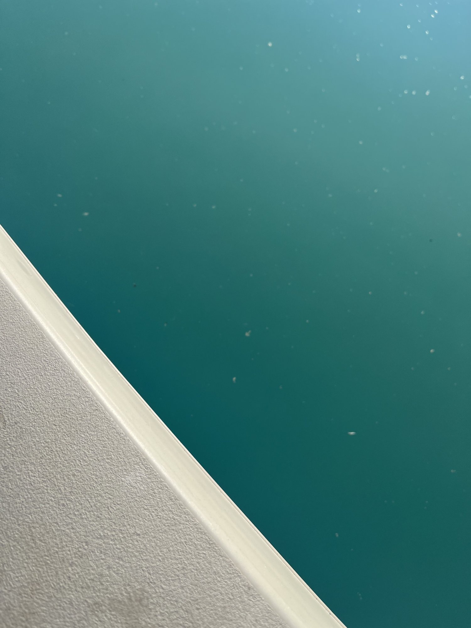 B0C48319-51E9-4AC6-9CED-4BCBEA718E5E.jpeg