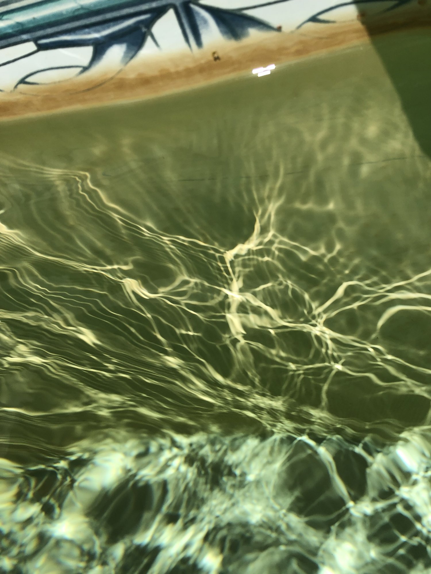 B2151611-BC3E-4A44-B088-EE29027487DA.jpeg