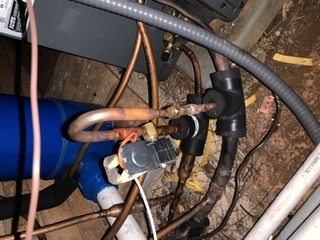 B2B6C58F-2A15-43D7-8983-ABED1ADC4598.jpeg