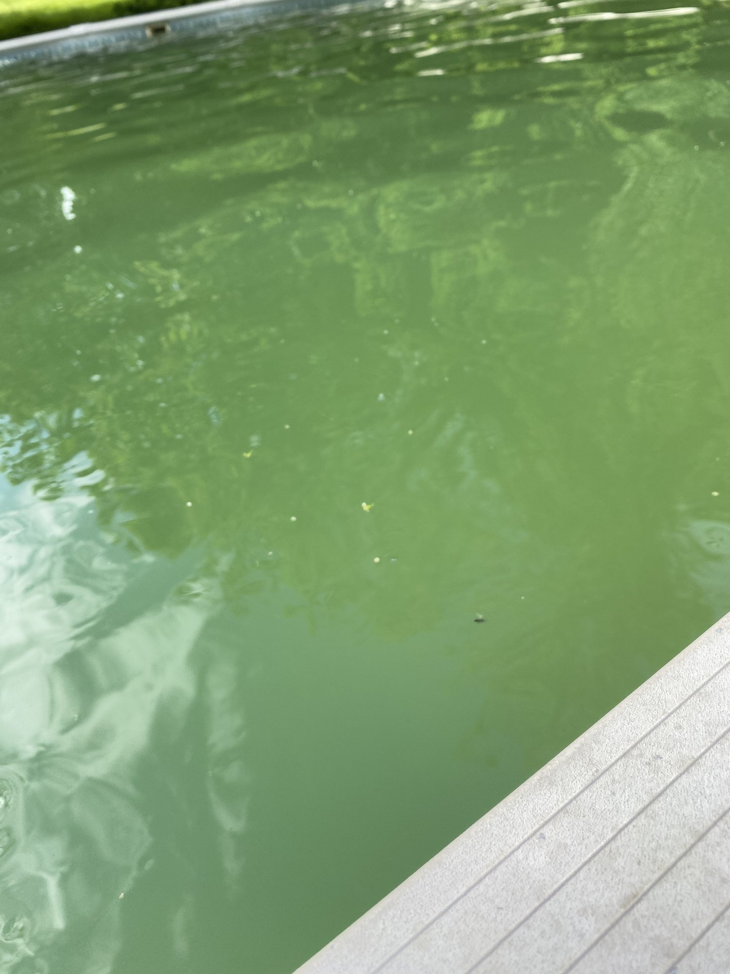 B304C5FC-F4B5-476D-83C7-F343B9EA1D50.jpeg