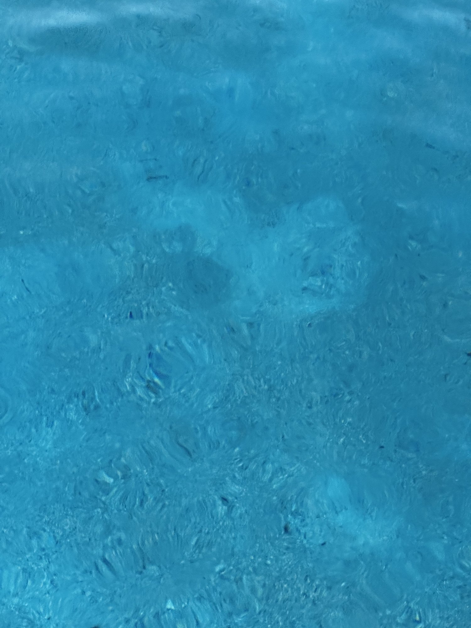 B3428CEA-CA40-4F3A-B8D2-25EF78C6DBD7.jpeg