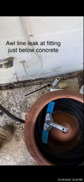 b4282ea250ebafe4058c.jpeg