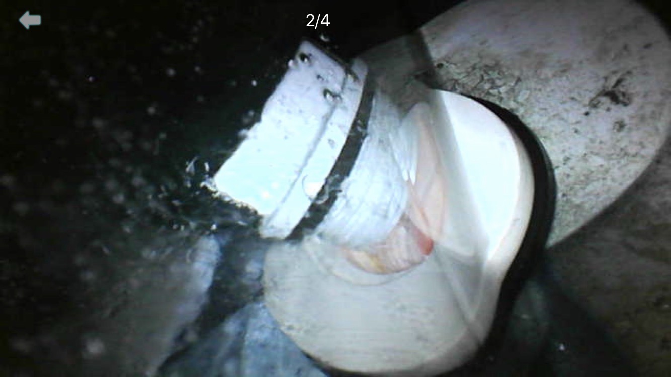 B476DF9B-FD55-41FA-8CAB-85E2D30DBA0A.jpeg