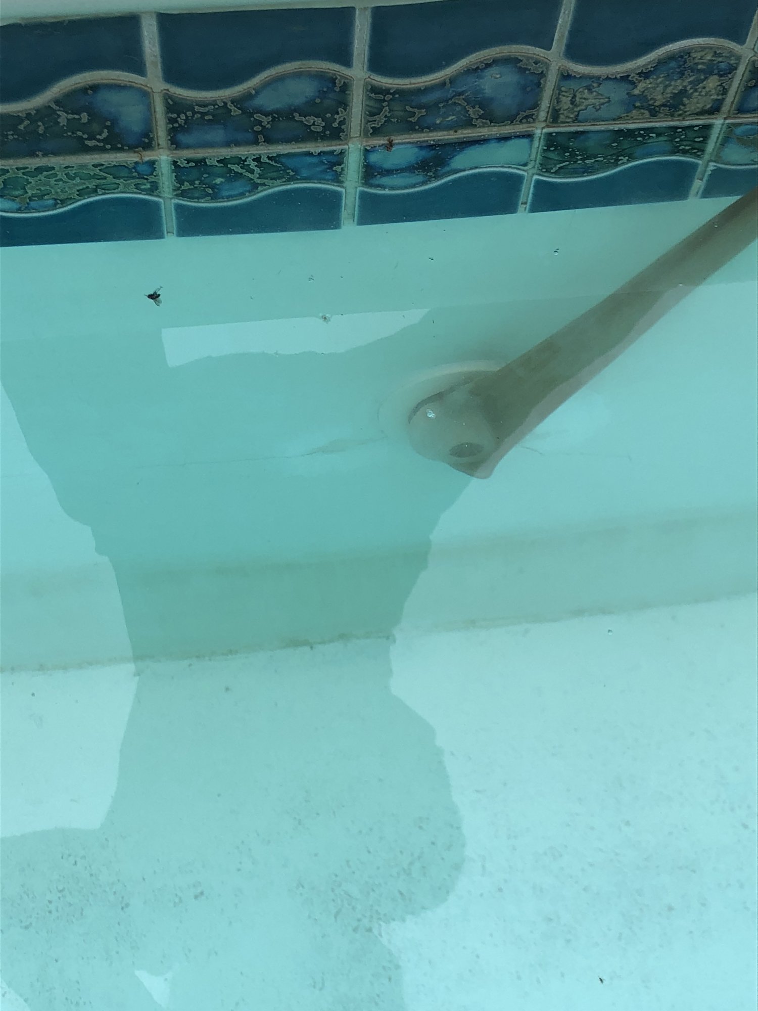 B48E770A-8632-4242-9E1E-9684DA8A62E6.jpeg