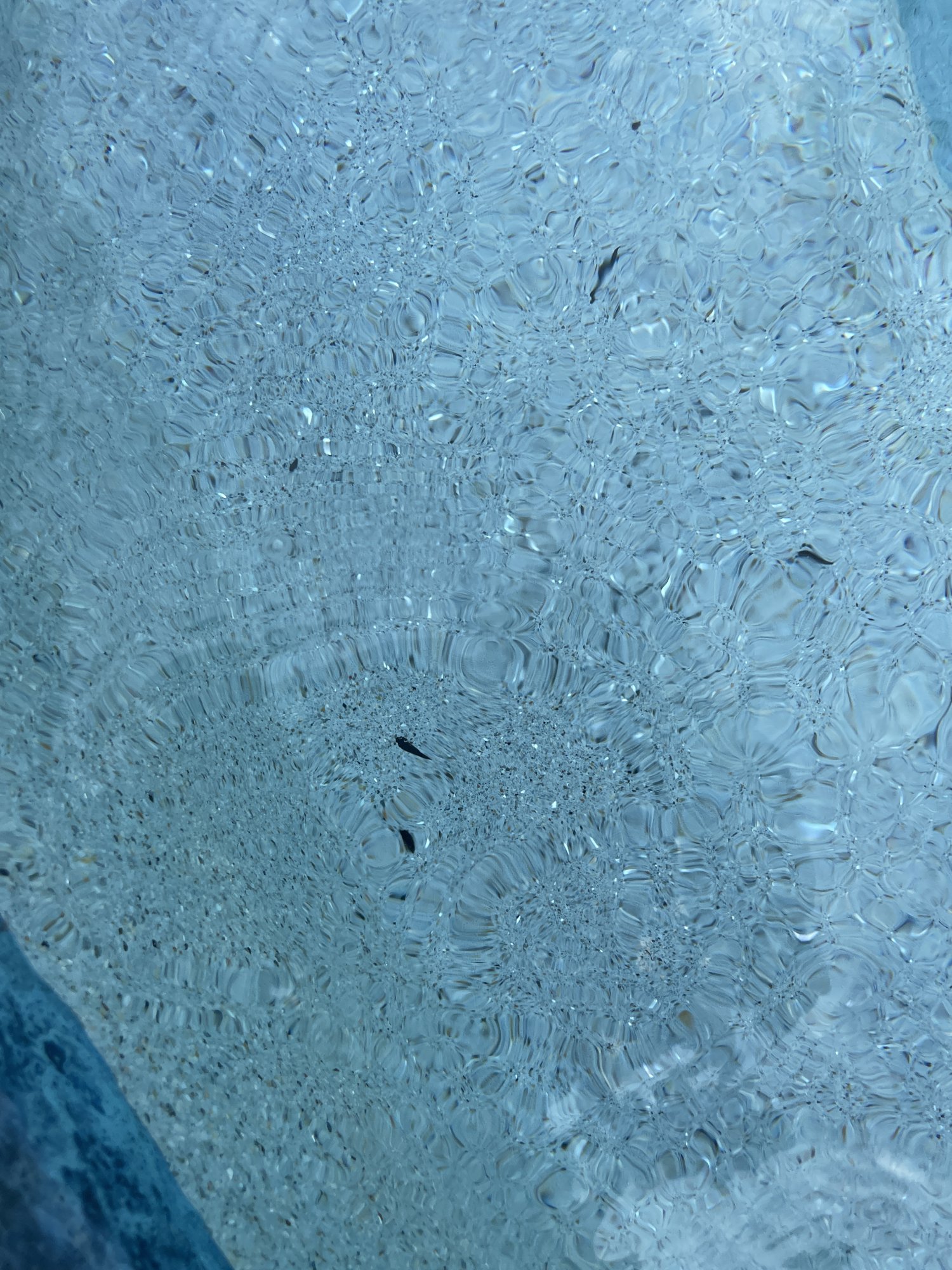 B6B505CB-DCE0-4FA7-93D7-C710AC377C38.jpeg