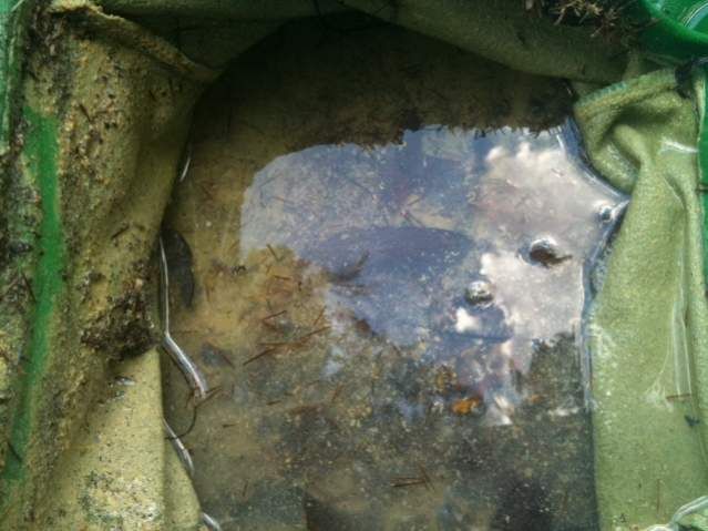 Baqua inside of vacuum bag