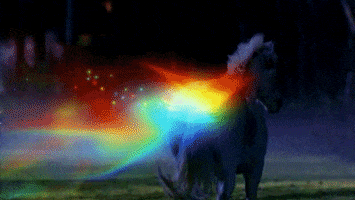 BBC6125C-1769-4E67-9A97-404045BD5E92.gif