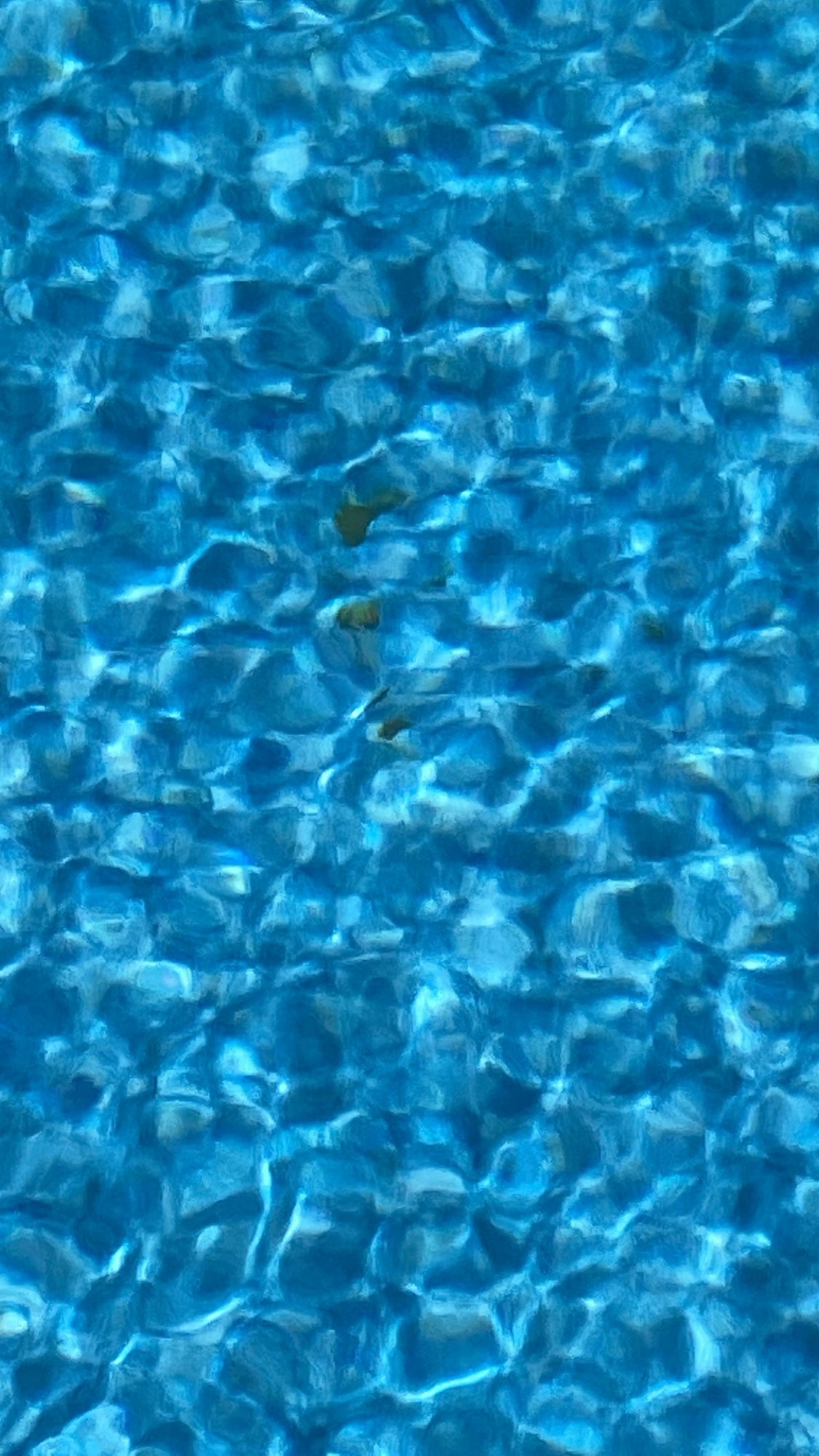 BCDA0F90-46E3-492A-B3D1-5C28E7F592E5.jpeg