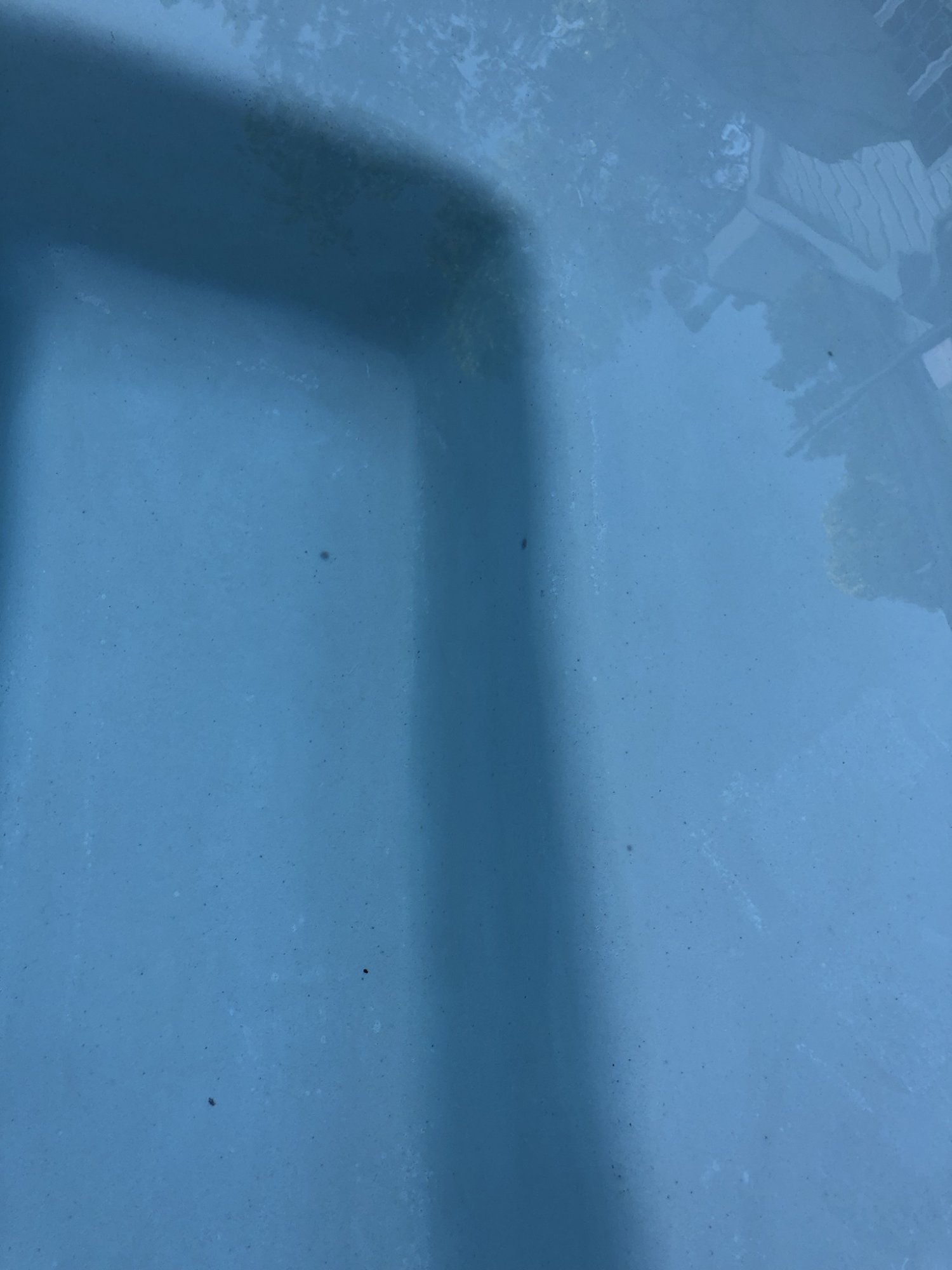 BD57F657-5FCD-41B7-B5B3-DD6DFB59927C.jpeg