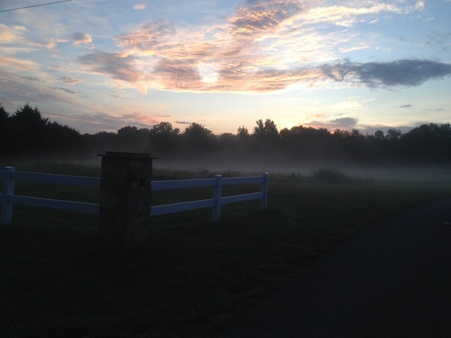 BDE0A6A9-A032-42E8-BBD7-9CC07CF53591.jpeg