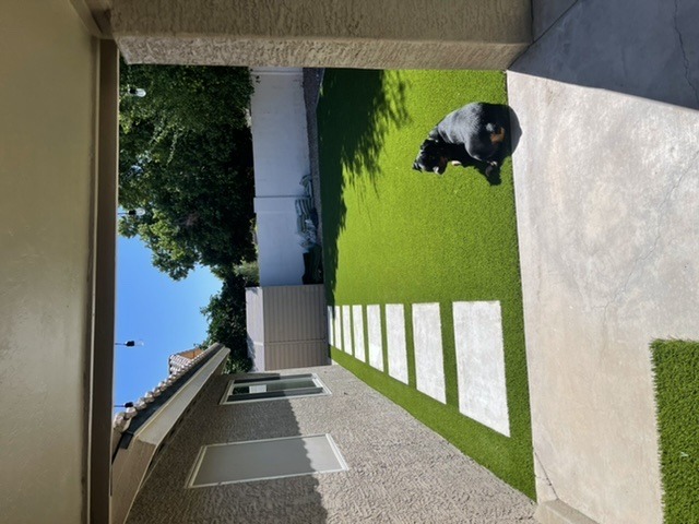 BDE598B2-EE38-46FD-8961-F6D15DF4A4A6.jpeg