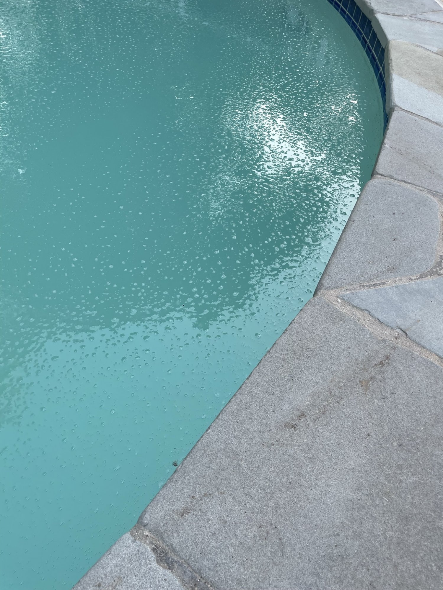 bubbles1.jpeg