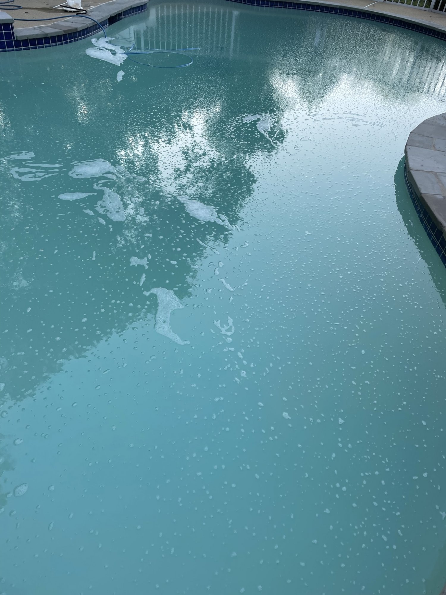 bubbles2.jpeg