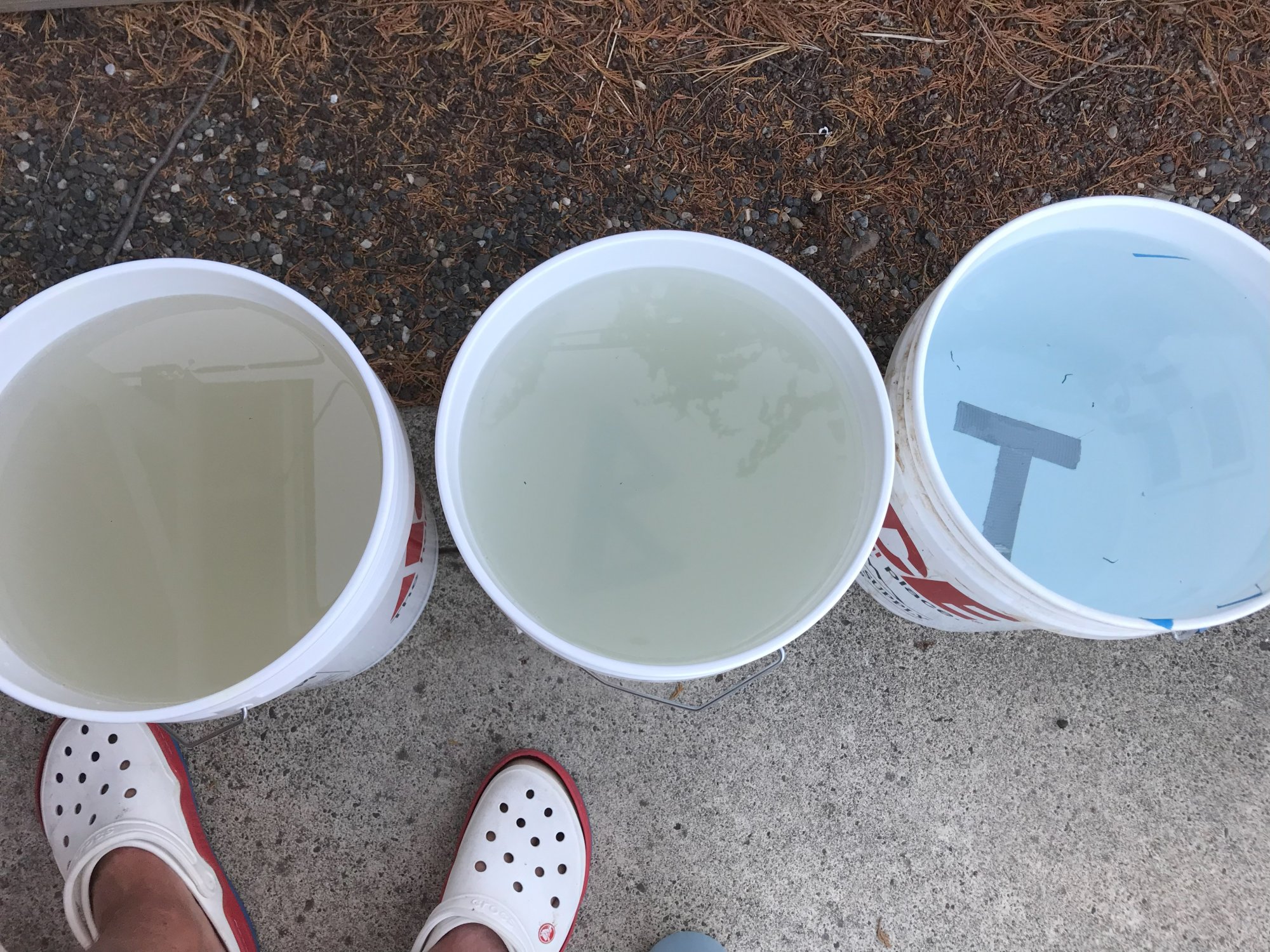 bucket_filter.jpg