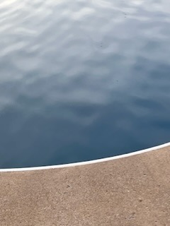 C02220D3-3991-42C6-8C25-855848A1BEFC.jpeg