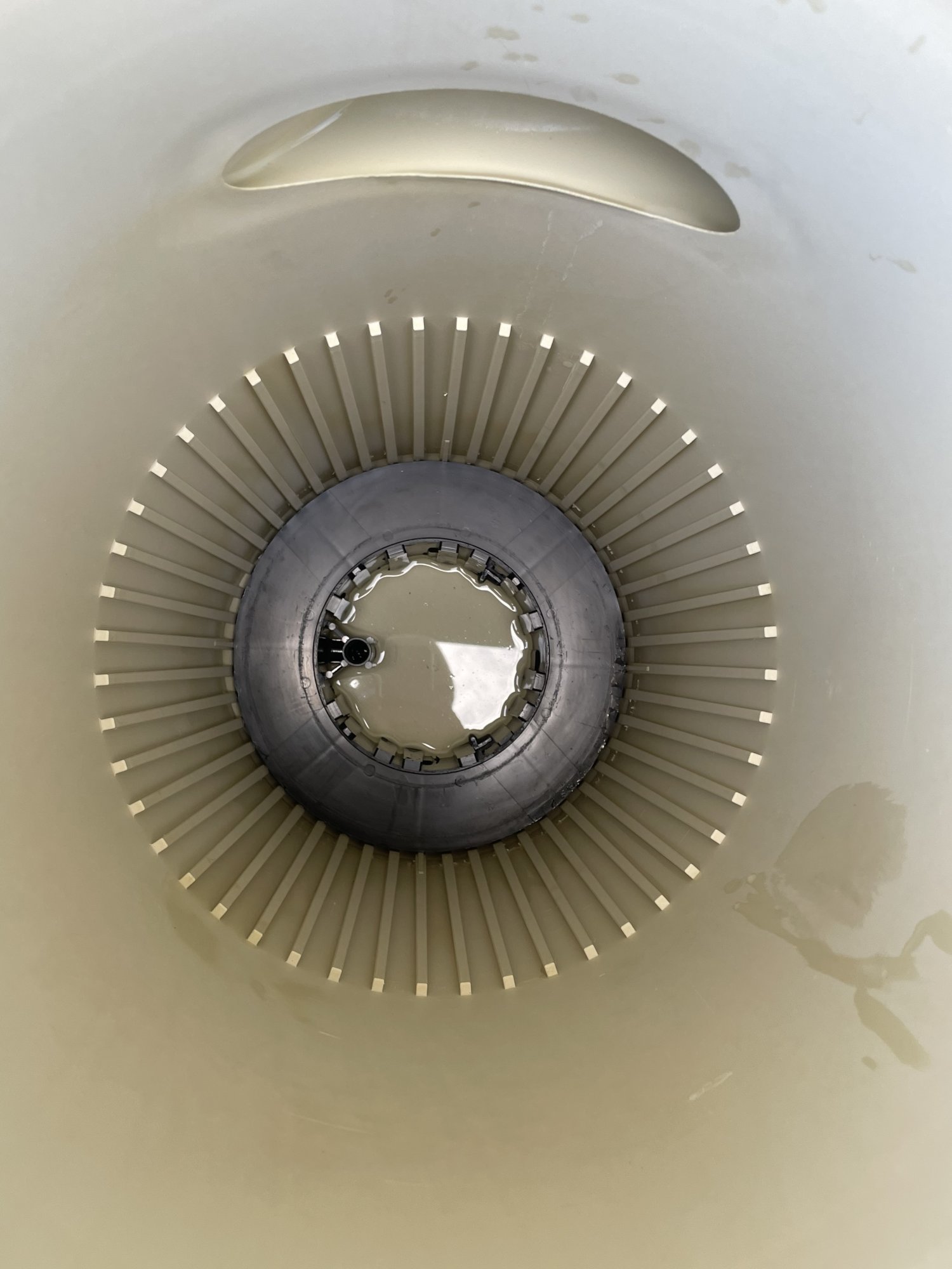C04D8A11-E278-44D5-973C-8A680867A26F.jpeg