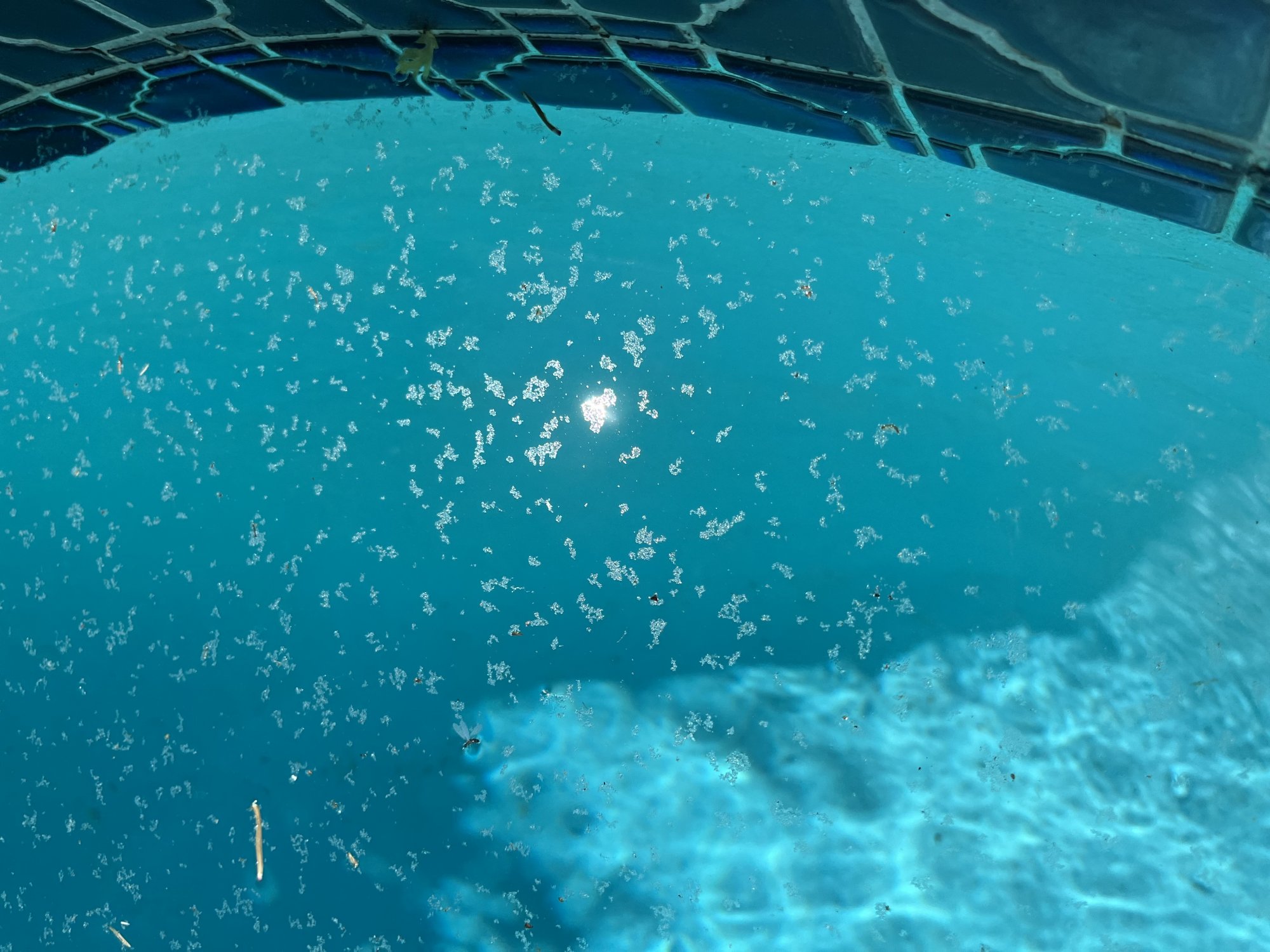 C1EE8313-73BE-4645-9977-9CF6300F60C5.jpeg
