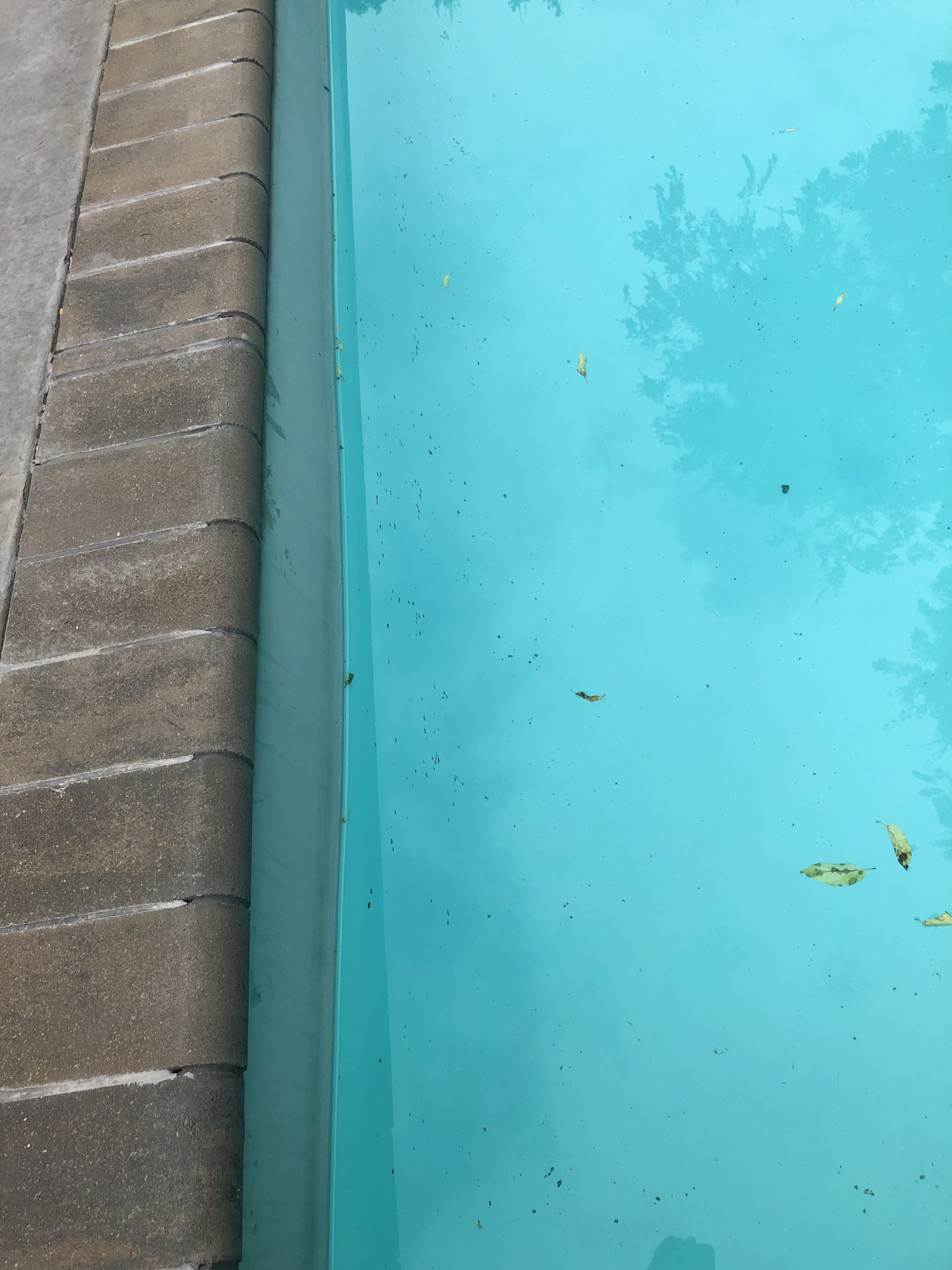 C320C04C-9697-4562-805B-D350973174AF.jpeg
