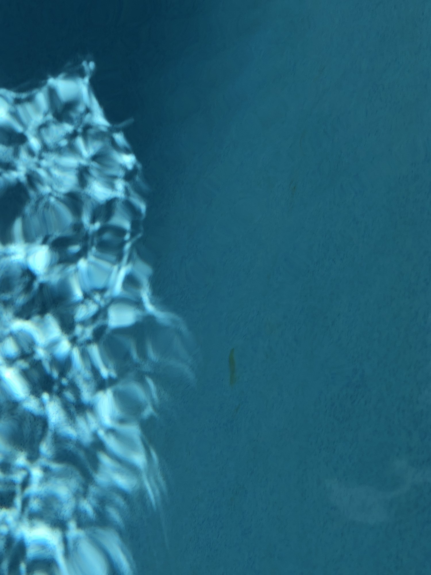 C81843AA-53DF-4A82-933C-7AA25929DADE.jpeg