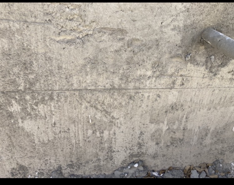C8E97651-1EAB-495E-99B4-79B8F0D9F90A.jpeg