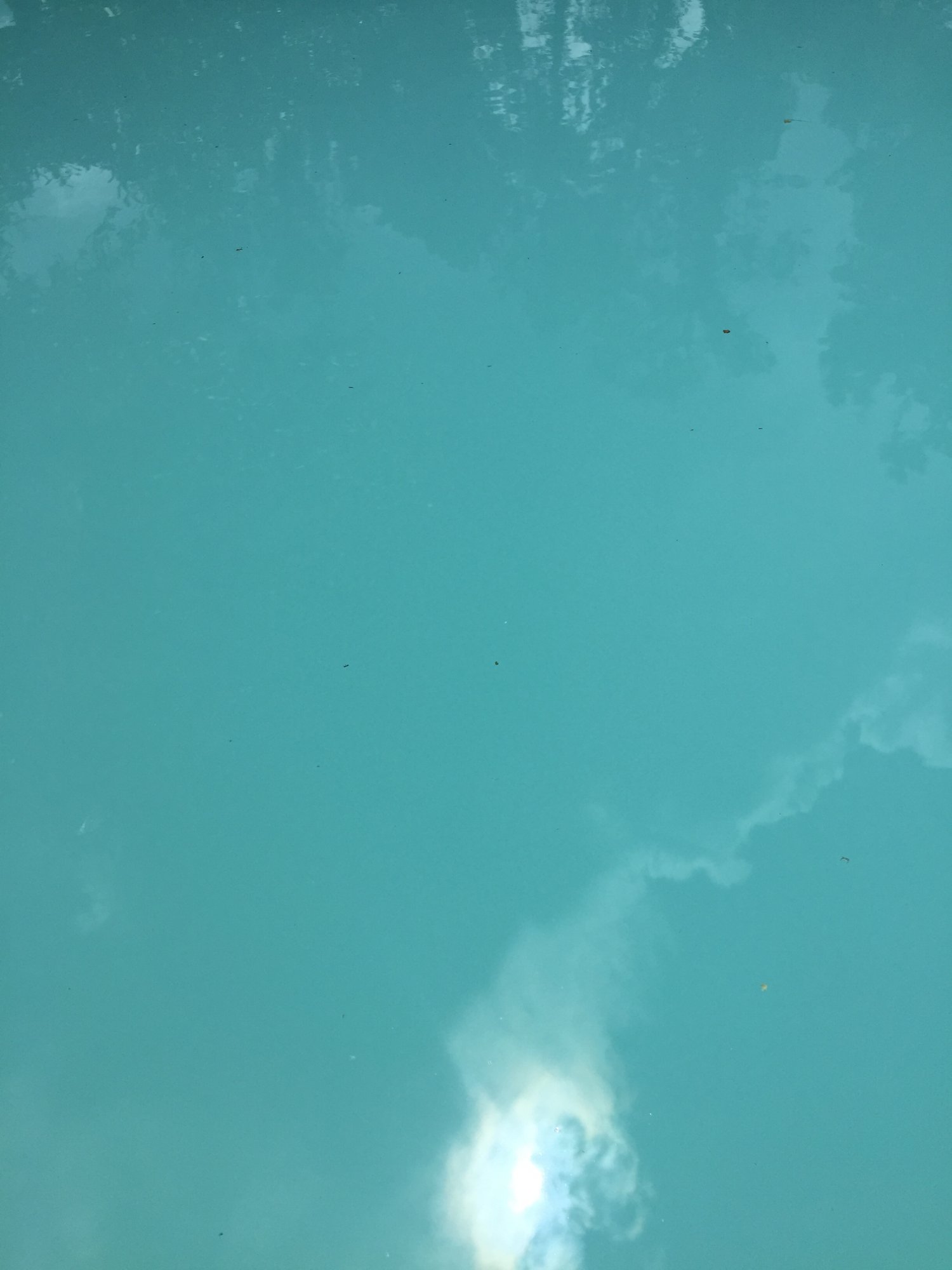 C9602CD2-0426-49AD-8059-724AE9DA22E0.jpeg